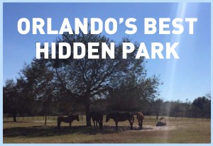 Orlando's best hidden park