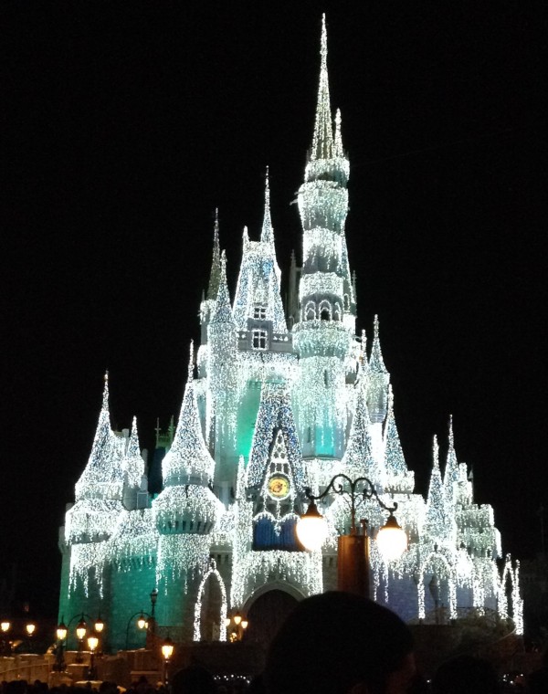 Disney castle covered in white lights