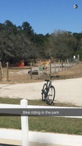 Bike riding in the park