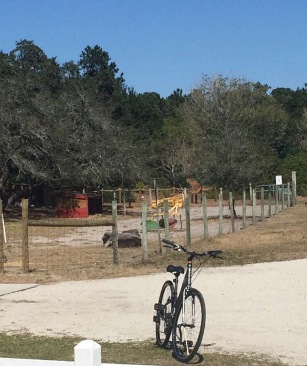 bicycle setting in park