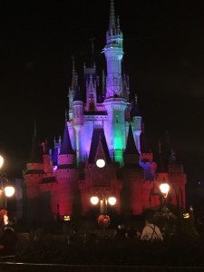 Cinderella Castle