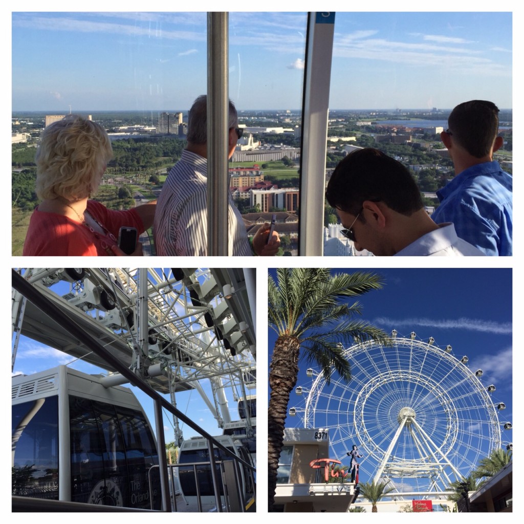 Orlando Eye Collage