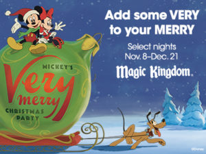 Magic Kingdom Christmas