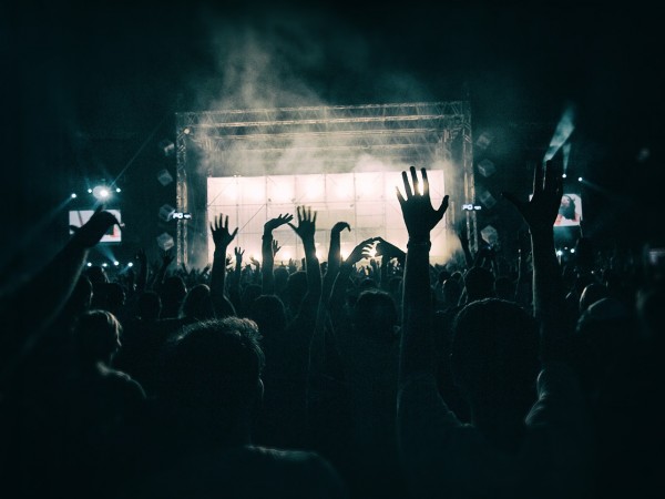 crowd at concert